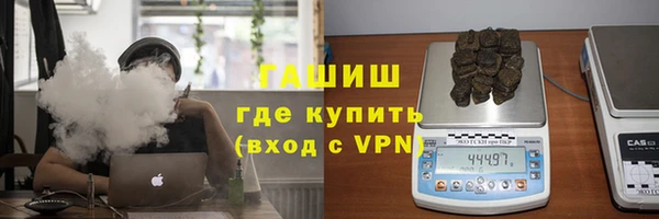 индика Беломорск