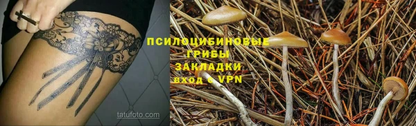 индика Беломорск