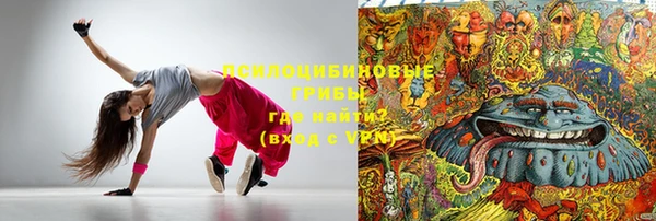 стаф Белоозёрский