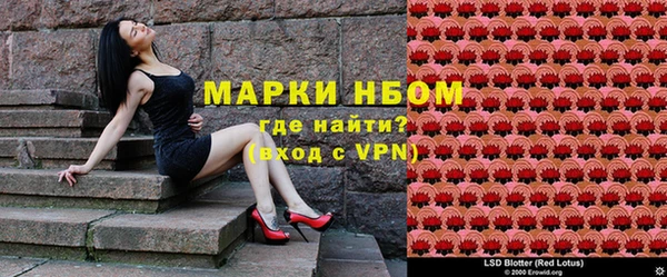 индика Беломорск