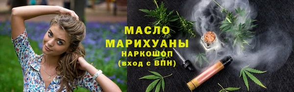 индика Беломорск