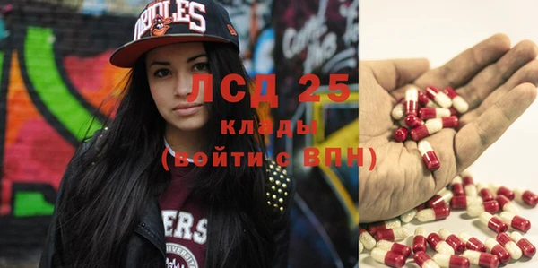 индика Беломорск