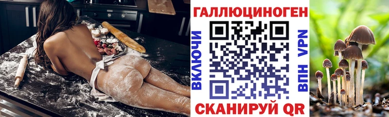 Псилоцибиновые грибы Psilocybine cubensis  Балтийск 